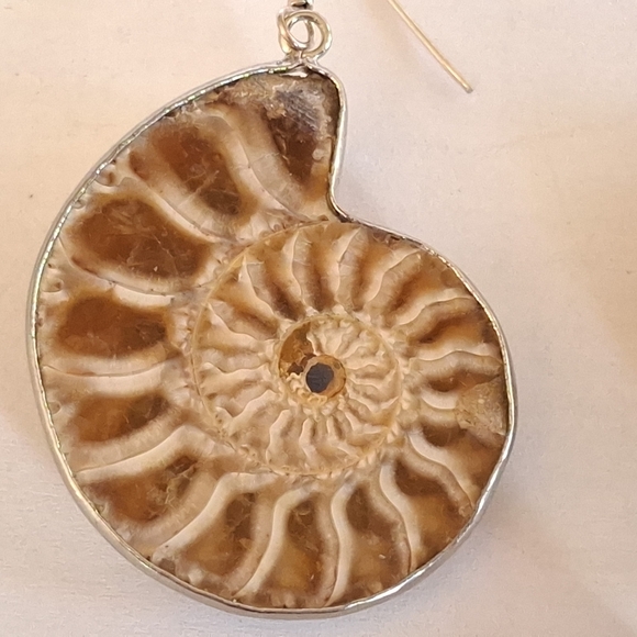 Unique Ammonite Fossil Earrings & Pendant Set 925 Sterling Silver "Stargazer" - Picture 11 of 13